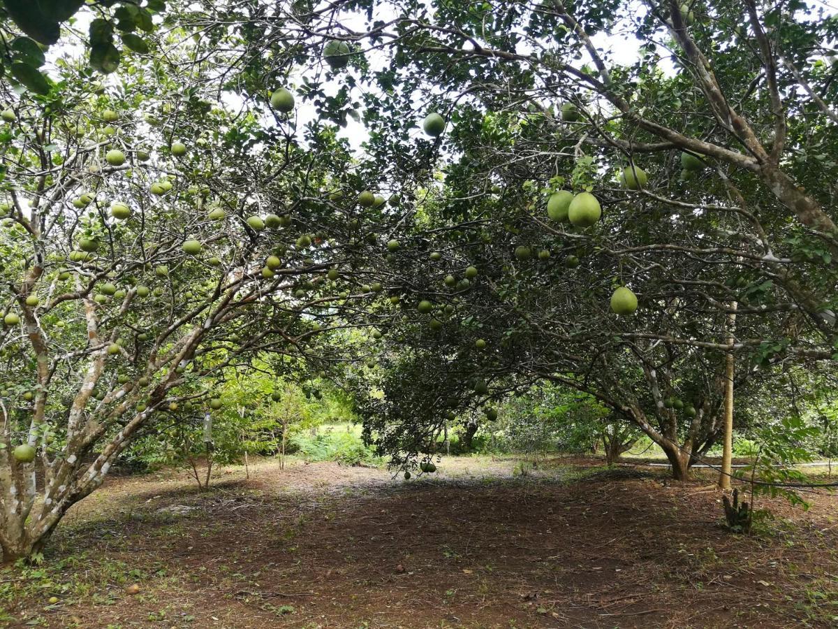 Holiday home Star View Garden Sai Yok